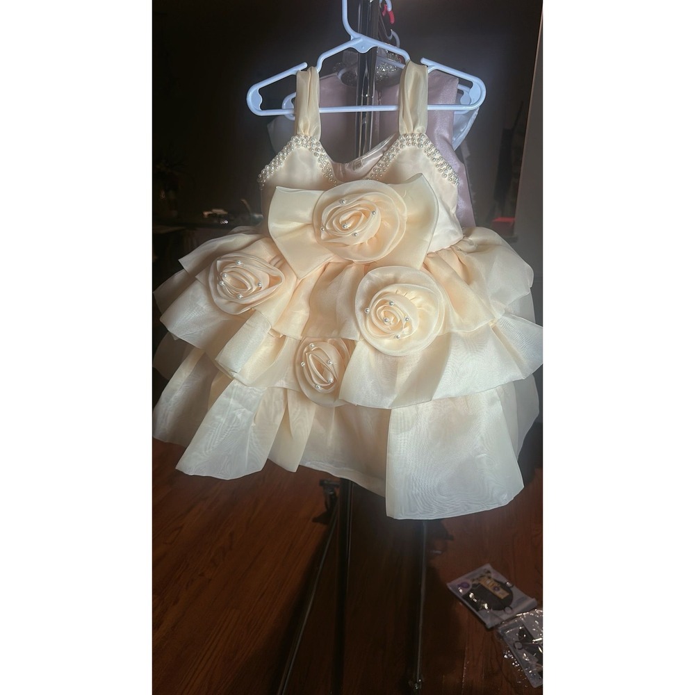 Boutique Flower Girl Dress ChampagneTulle 3DRosette Pearl Accents Formal Wedding - Picture 4 of 10